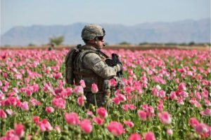 Наркотрафик растёт там, где есть военные базы США — События дня. Взгляд патриота — 22.04.2016