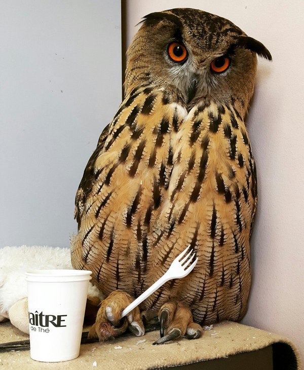 0.30 по мск. А не пора ли нам кого-нибудь перекусить?