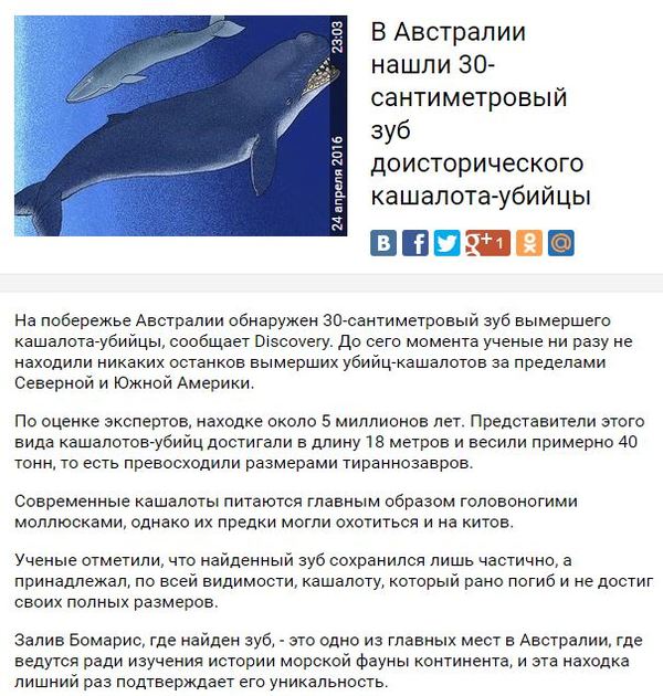 Ну, а где же еще? | Пикабу