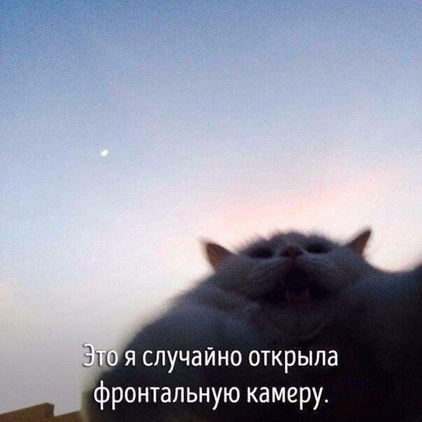 ��� � �������� ������� ����������� ������