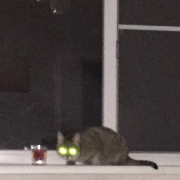 ����� ����� ����� �� �����