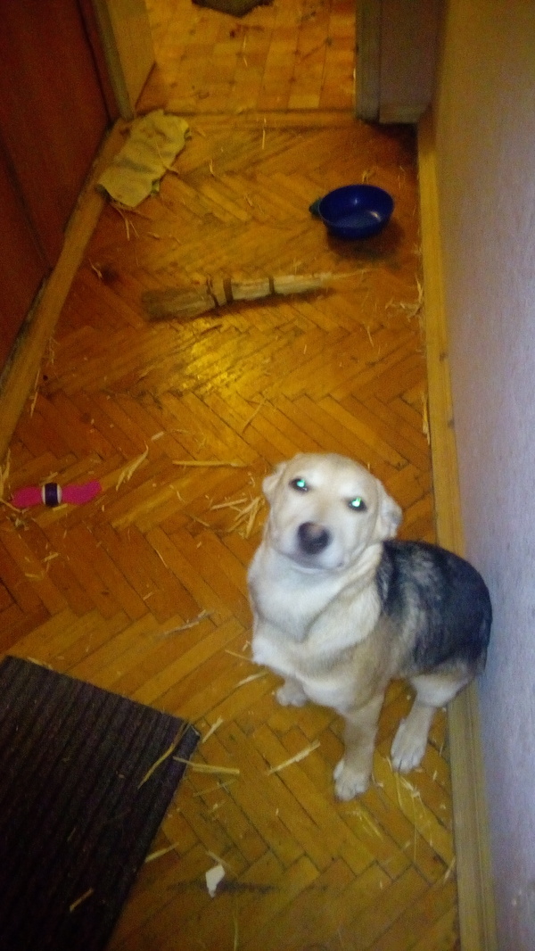 �������� �� ����� ��������� ������