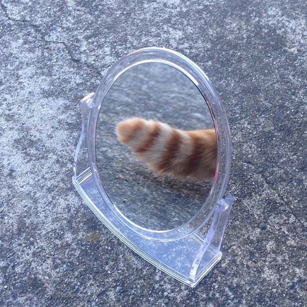 Portal (      ,   ) , Portal, , ,     