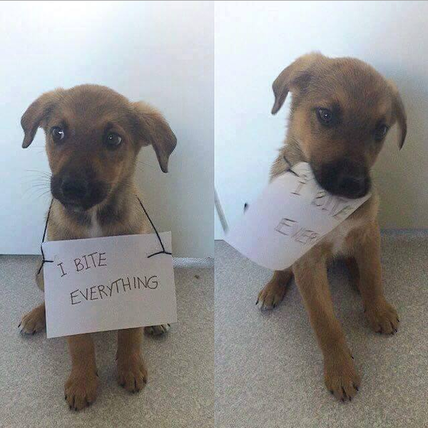 ���������...