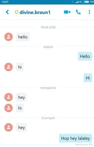    Skype, , , 