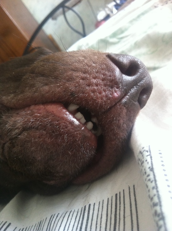 ����� �������� ���