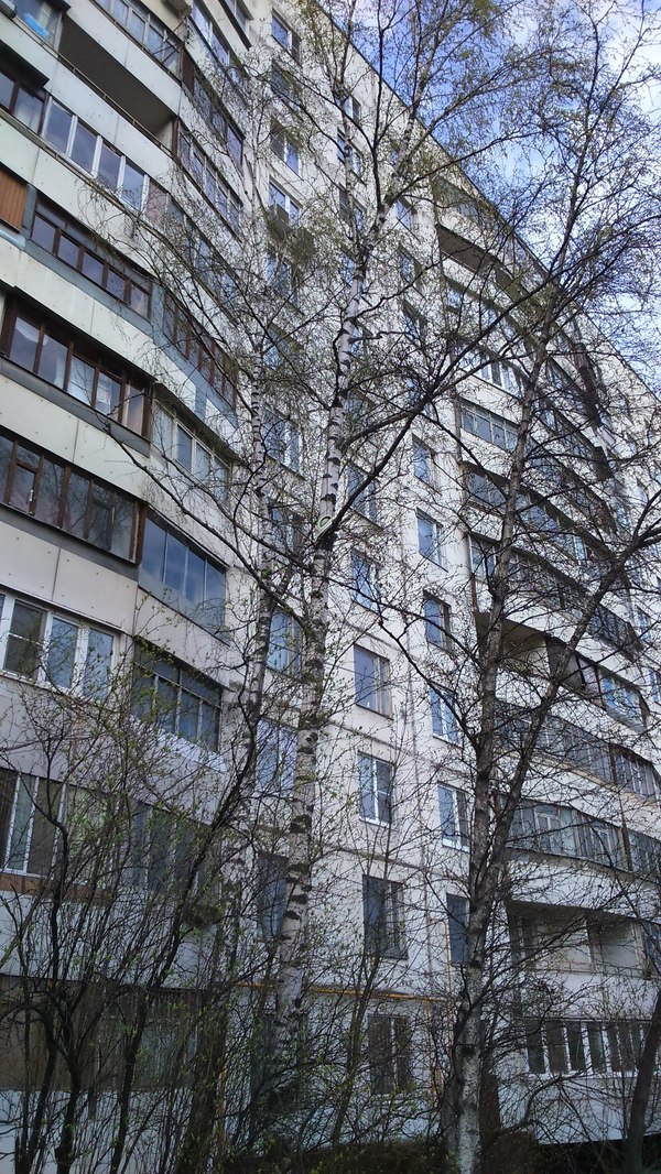 ����� ����