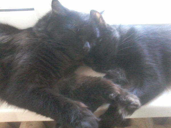 Как бы ни было больно.