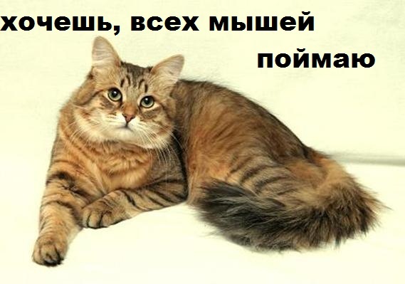 1461771785199042226.jpg