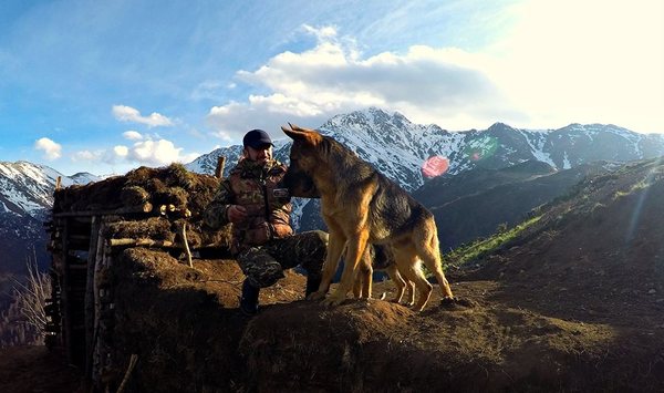 ������ ���� ���������������� ����� "��������" �� �������� ������