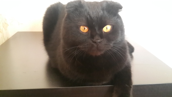 ��� �����..