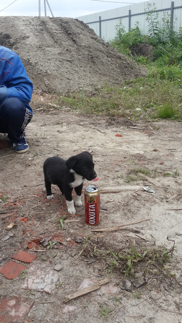 ������  ������