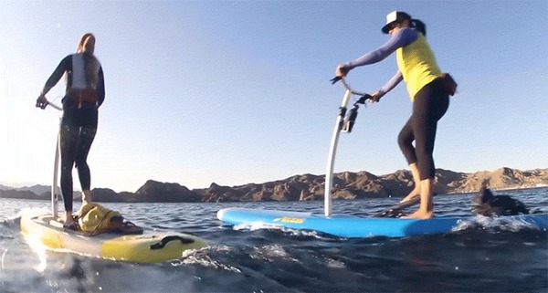   Hobie Cat...!!!    ))) , , , , 