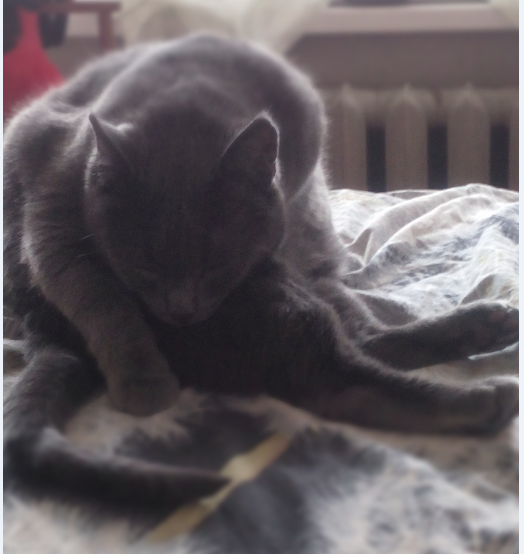 ���. ��� ��� � �����.