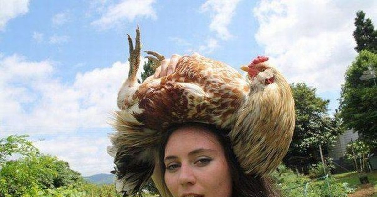 Пародия красавицы. Девушка с курицей. Артемьева г. "чудо в перьях".