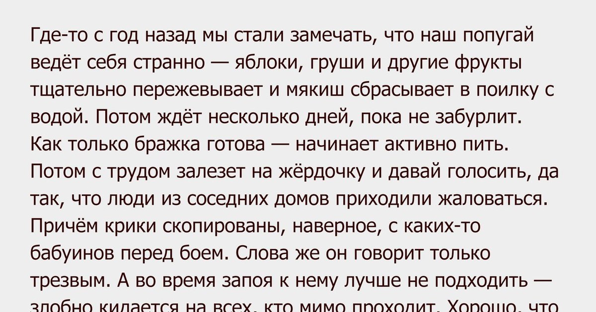 Стали замечать. Анекдот про попугая и бабушку. Анекдот про попугая и коньяк. Все анекдоты про попугаев. Анекдот про попугая и кипяток.