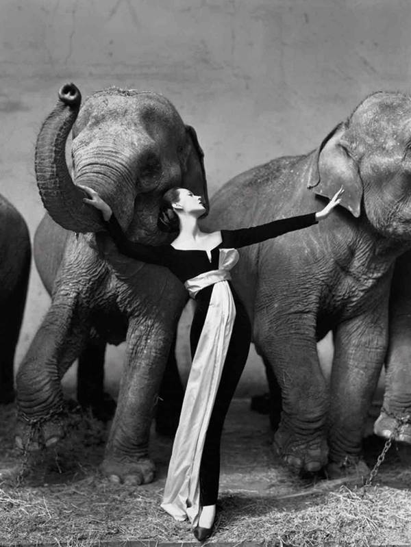 ������� ����� ���������� ���������� ������� ������� ��� ��������� �����.