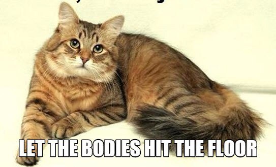 Let the bodies:D - My, cat, My, Floor