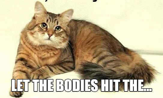 Let the bodies:D - My, cat, My, Floor