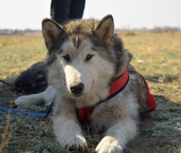 ������ ���������.30  ��������� ����� �������