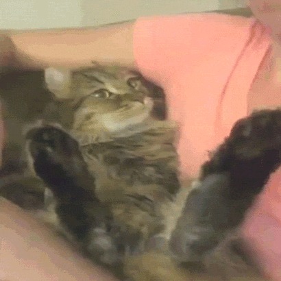 &quot;   !&quot;