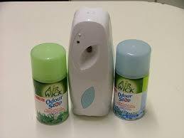 Дневальный и Air Wick