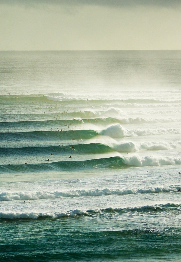 ��������� �������� �������� �������.