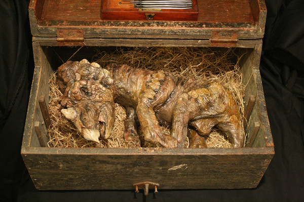 В подвале старого лондонского особняка нашли тела странных существ Интересное, Лондон, Непознанное, Томас Мерлин, Длиннопост