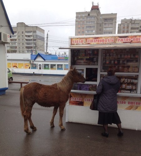 �� ���������, �. ������