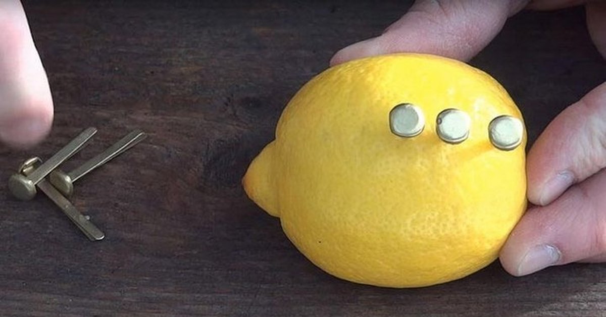 Как с помощью лимона разжечь костёр | Пикабу