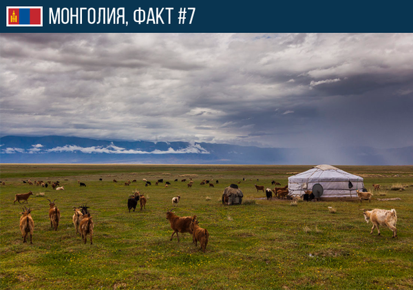 Интересные факты о Монголии Факты, Монголия, Длиннопост, Rg