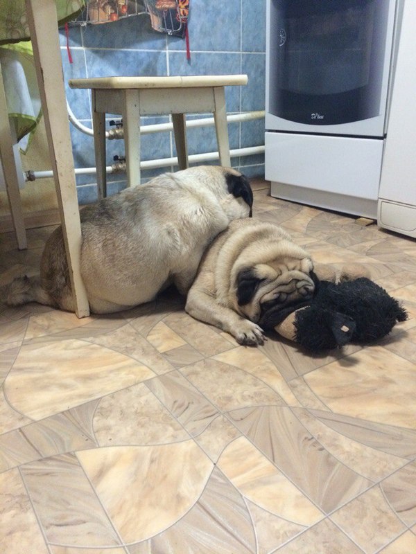 � ���� ����� �������, ����� ��� ���, �� ���� ����� ������ ���������� � ������� ������