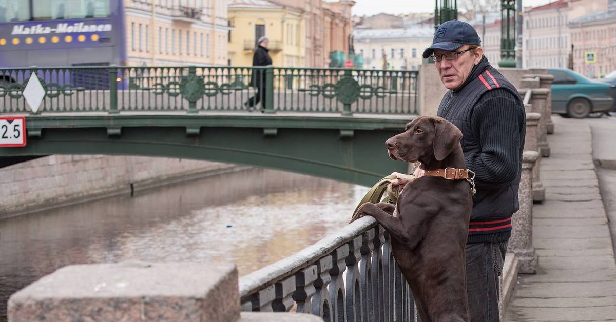 Собаки петербурга. Санкт-Петербург с собакой. С собакой по Санкт Петербургу. Фотосессия с собакой в Питере.