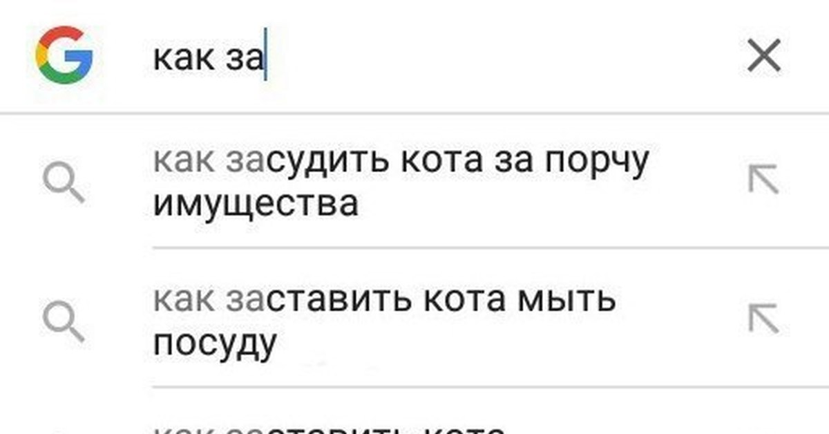Как заставить кота работать. Как заставить кота съесть. Как дать таблетку кошке. Важный кот картинки. Таблетки для кошек.