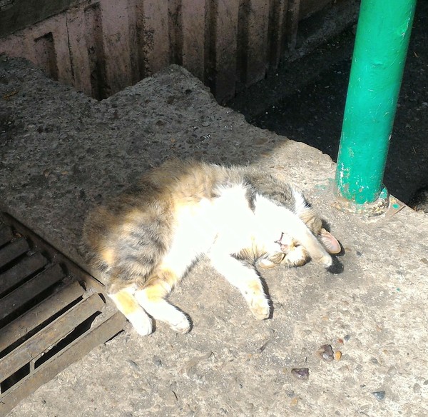 Когда пришли теплые дни.