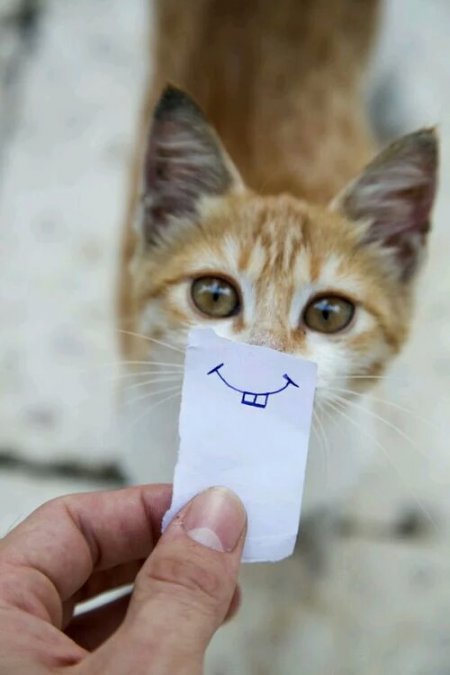 �������-����� ��������. (����� �� ������ ������)