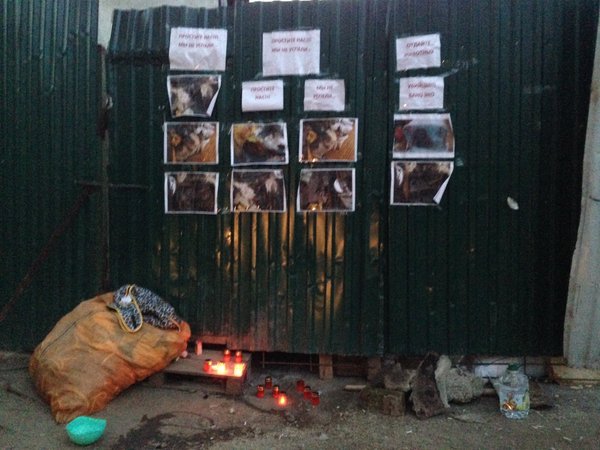 Moscow concentration camp for homeless animals - Animals, Shelter, cat, Dog, Cruelty, Death