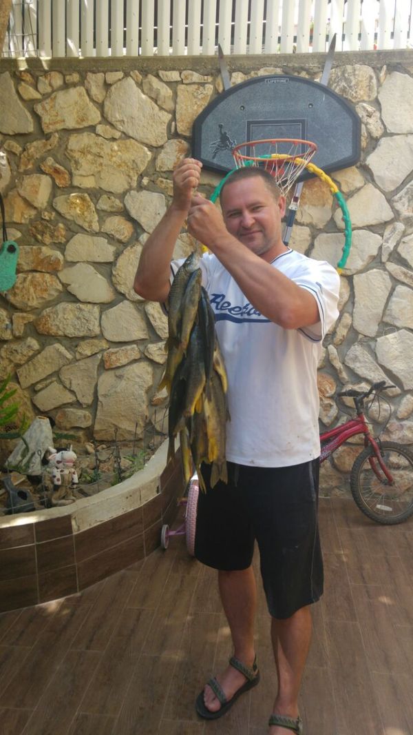 ��� ����� ���� �� ����� ������