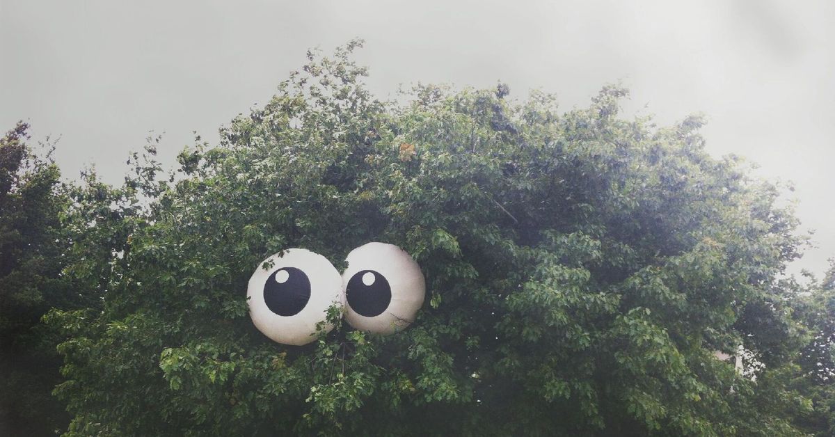 кэрол каваларис кошки. глаза в кустах. светящиеся глаза в лесу. кошачьи глаза фэнтези. кусты ночью.