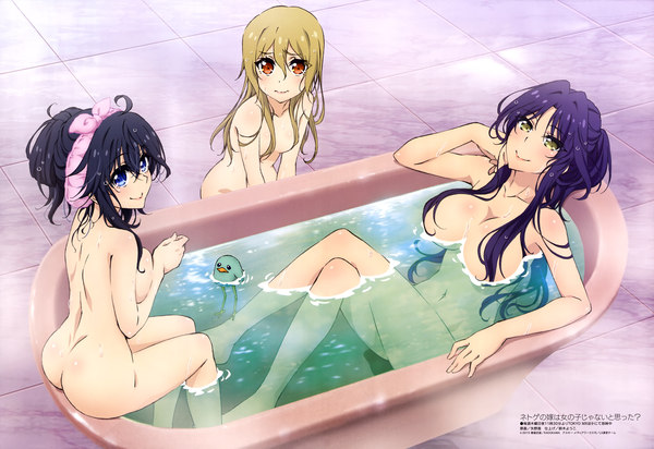 Netoge no yome wa onna no ko janai to omotta? - NSFW, Anime Art, Goshouin kyou, Segawa akane, Tamaki ako, Аниме, Netoge no yome