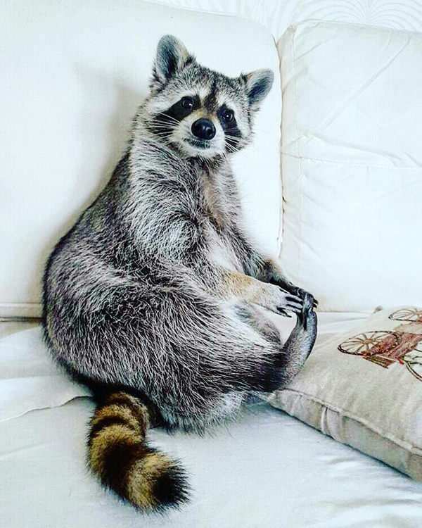 &quot;,    ...&quot;