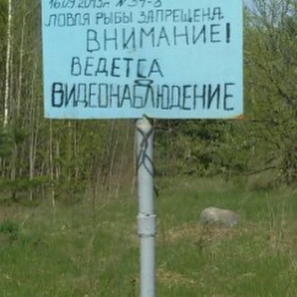 Русский язык!