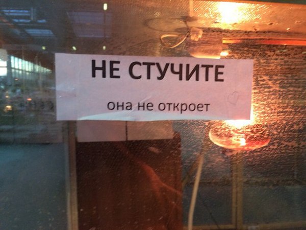 Объявление у игуаны в террариуме