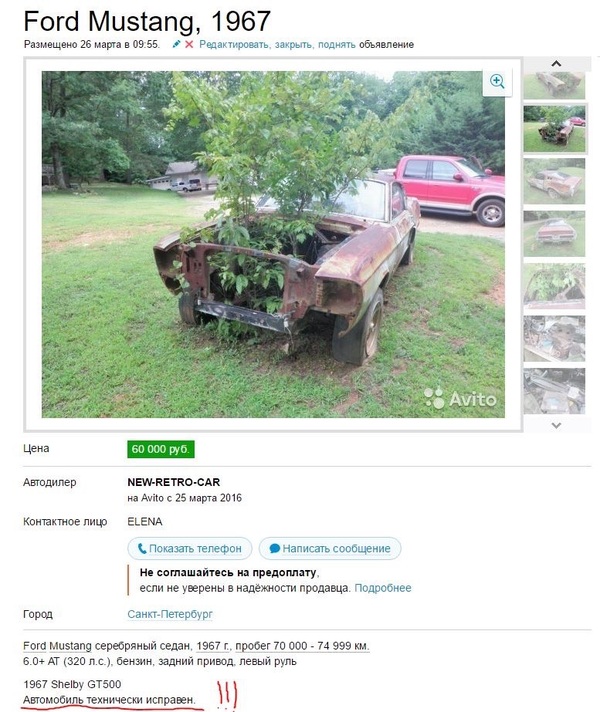 � ����� �� �� ����. ������ ����� ���� �����!