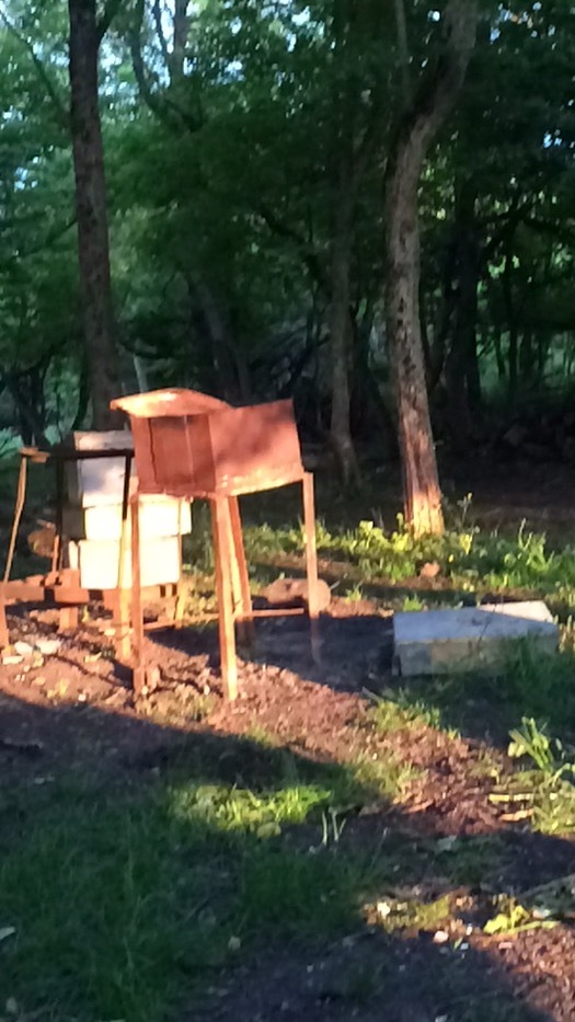 Захват мангала. Природа, Гнездо, Птицы, Мангал, Длиннопост