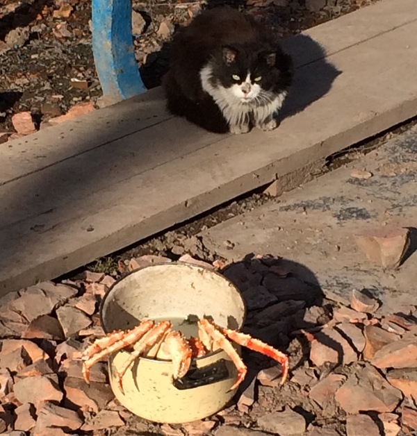 ��� �� �������� ������, ����������� ����� ����� �� ������