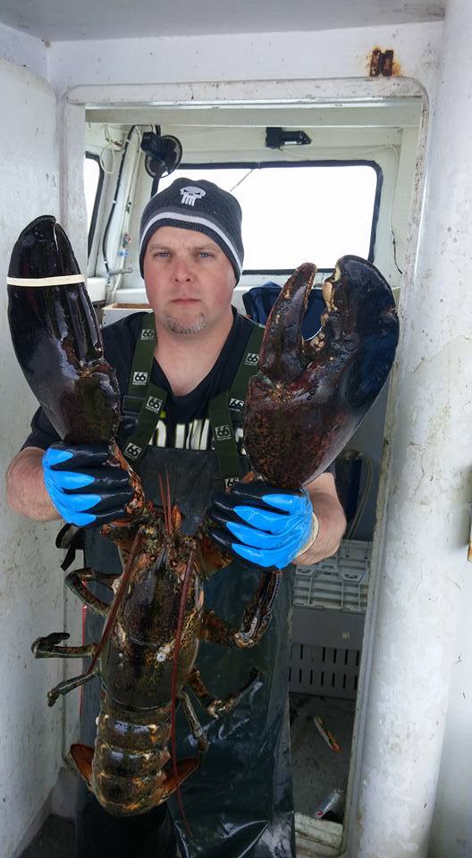 ���� ������