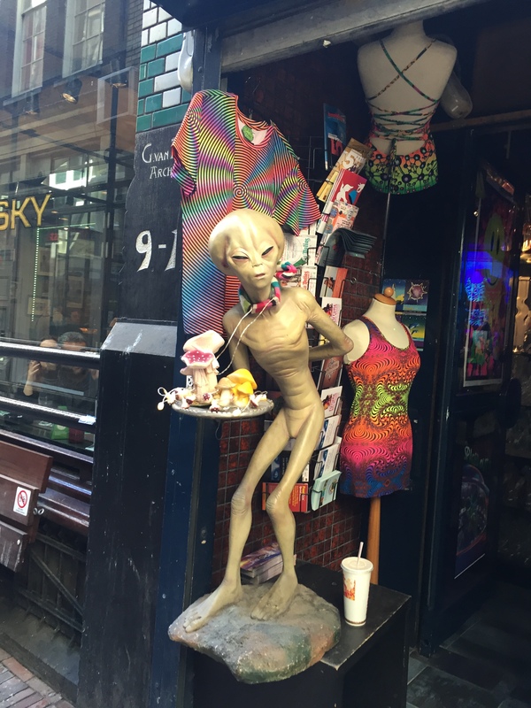 ����� ������������ ���������� ���� �����