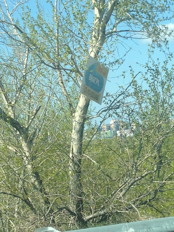 ������� ��������� ���������