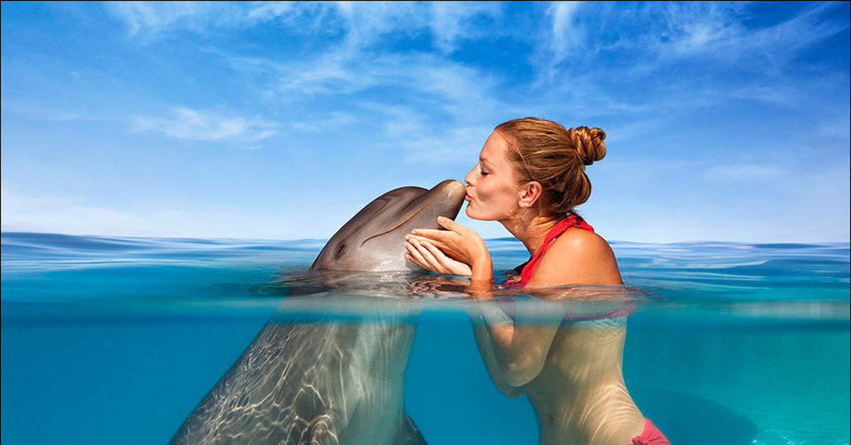 Dolphin my girl. Девушка и Дельфин. Девушка с дельфином фото. Девушка на дельфине. Дельфины и девушка.